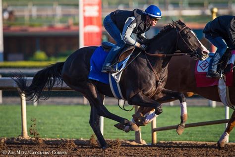 Raging Fire - FIRESTONE RACING STABLES