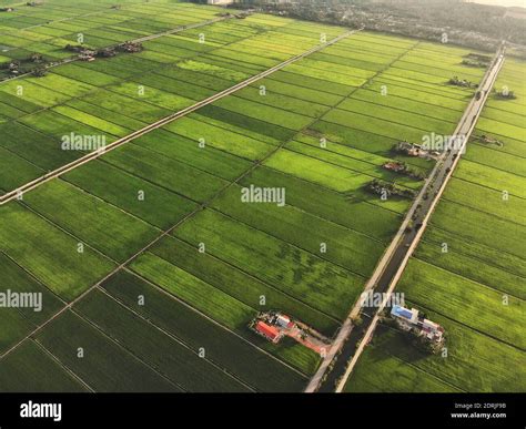 Aerial View Of Farm Stock Photo - Alamy