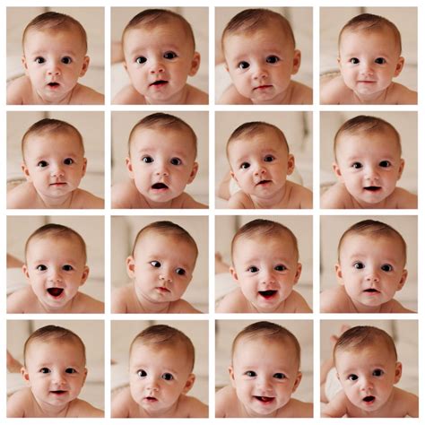 Baby Picture Collage - Do this every couple months to document growth ...