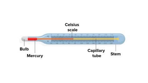 Parts of Thermometer | Digital Thermometer