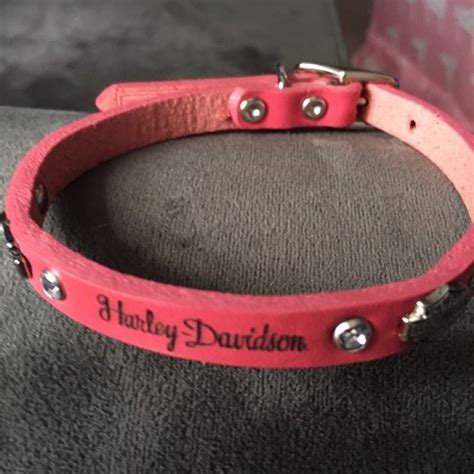 NWT Harley Davidson Leather small dog collar | Dog collar, Girl dog collars, Small dog collar