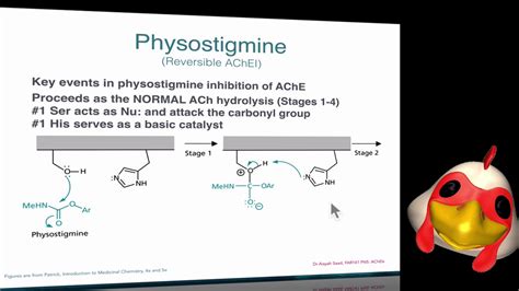 Medicinal Chemistry: How do PHYSOSTIGMINE act on ACETYLCHOLINESTERASE ENZYME | Part 3 - YouTube