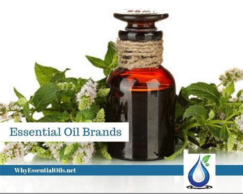 Essential Oil Brands - Why Essential Oils