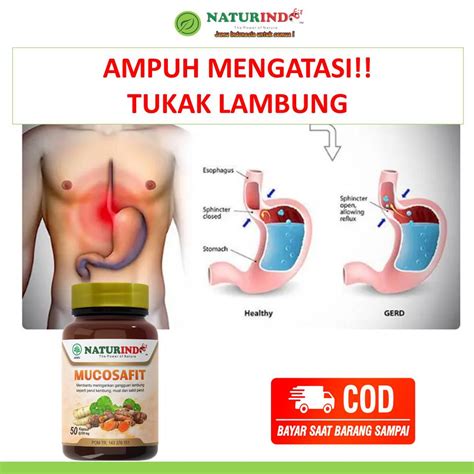 Jual Obat Tukak Lambung Lambung Luka Infeksi Lambung Lambung Bocor Maag Kronis Obat Lambung Maag ...