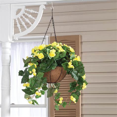 Full Assembled Begonia Hanging Basket by OakRidge™ - Walter Drake