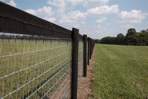 Mesh Horse Fence for Secure Containment