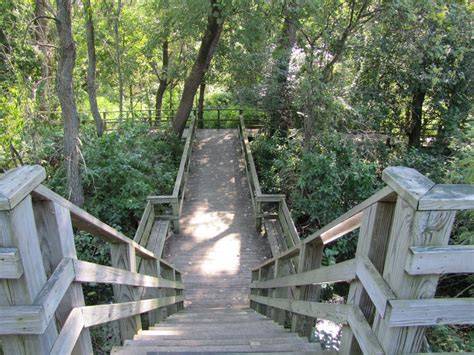 Flitzy Phoebie: Magee Marsh Wildlife Area - Ohio