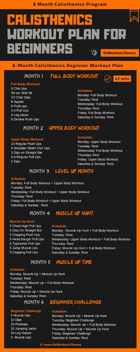 Calisthenics Workout Plan for Beginners | Calisthenics workout plan ...