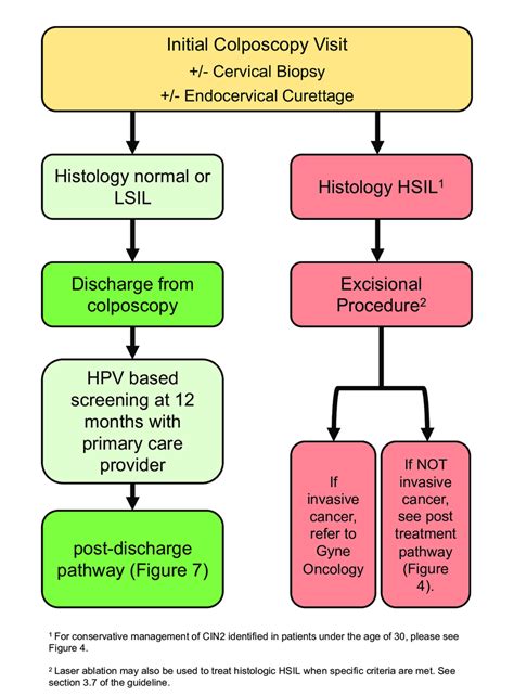 Low-grade referral pathway (HPV-positive ASCUS or LSIL). The low-grade ...