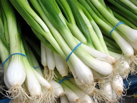 What’s Fresh? Green Onions! | Chequamegon Food Co-op