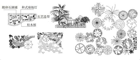 Plants,flowers,tree Autocad Blocks Collections】All kinds of Plants CAD Blocks – Free Autocad ...