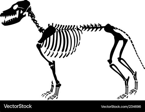 Dog Skeleton Vector Free Images At Vector Clip Art Online | Images and ...