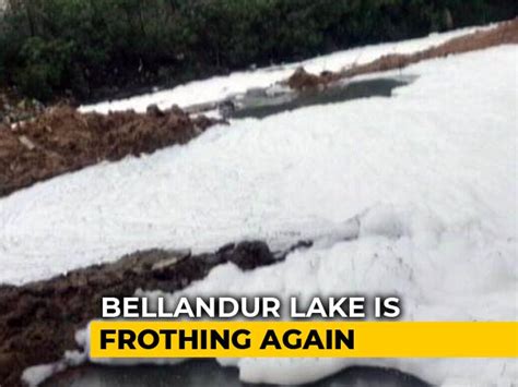 Bellandur Lake: Latest News, Photos, Videos on Bellandur Lake - NDTV.COM