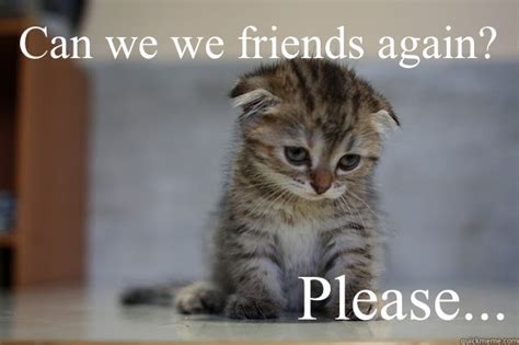 Can we we friends again? Please... - Sad Kitten - quickmeme