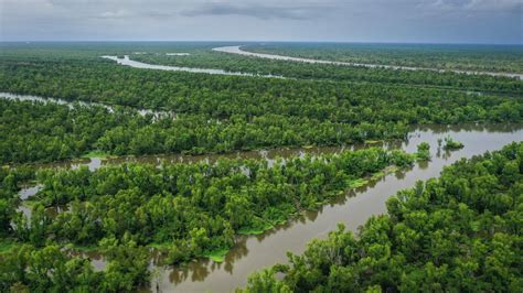 Atchafalaya Trace Commission announces Justin Lemoine as new Executive Director of the ...