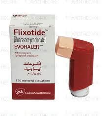 Flixotide Inhaler 250mcg | tmeds.pk