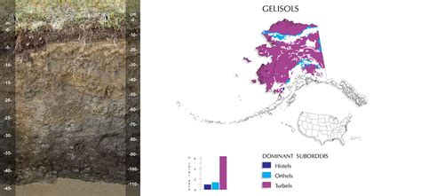 05_ Gelisols | The central concept of Gelisols is that of so… | Flickr