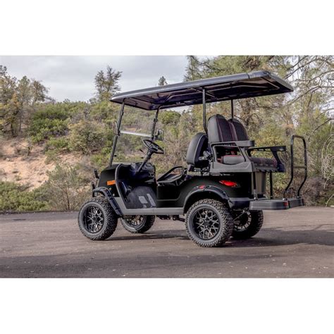 Coleman Powersports 5000-cc Electric Golf Cart DR48V-B at Lowes.com