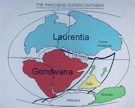 The Continents division | Geowissenschaften, Weltgeschichte, Erdkunde