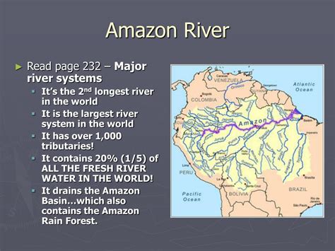 PPT - Bellwork: December 13 th Objective: Discuss the benefits of the Amazon Rainforest ...