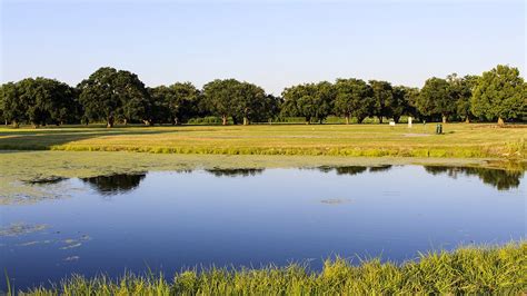 City Park Golf Courses - New Orleans | TCLF