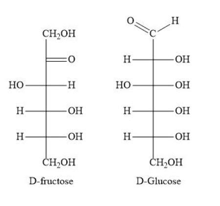 How does the Fischer projection of D-fructose differ from that of d ...