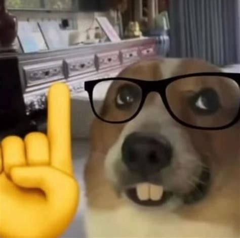 Nerd Dog | Know Your Meme