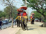Category:Ayutthaya Elephant Camp - Wikimedia Commons