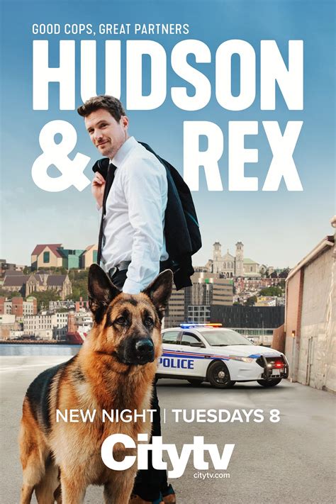 Hudson & Rex (TV Series 2019- ) - Posters — The Movie Database (TMDB)