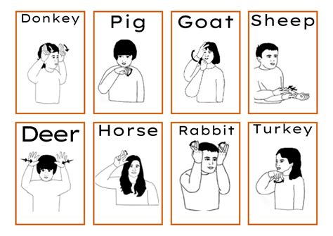 ASL Farm Animal Flashcards B/W & Color Boarders - Made By Teachers