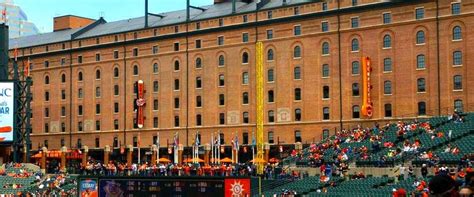 Baltimore Orioles - Stadium Dude