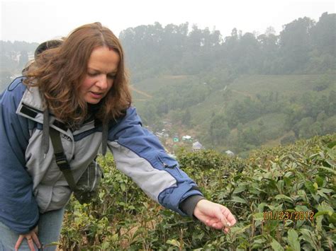 Sikkim Darjeeling with Kolkata - Trek IndiaTrek India