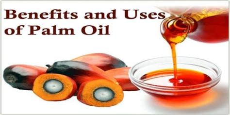 Benefits and Uses of Palm Oil - Assignment Point