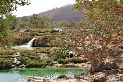 Darbat Waterfalls Near Salalah, Sultanate of Oman Stock Image - Image of plant, field: 260683109