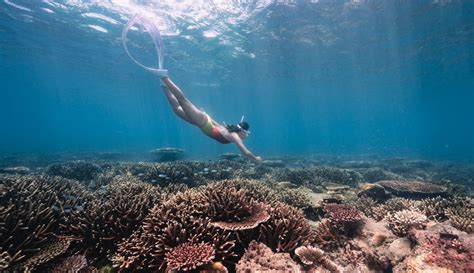 Con Dao snorkeling: An A-Z guide for the best experiences