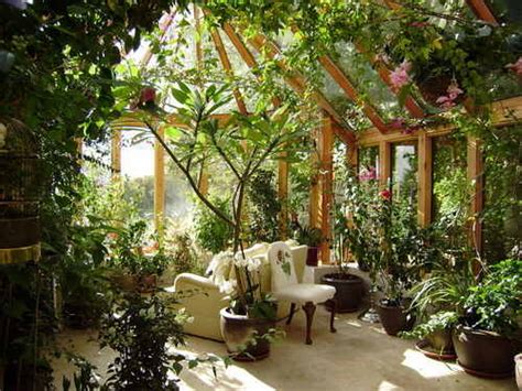 Conservatory plant images from Fleur De Lys specialist interior plantscapes in the UK