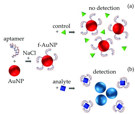 Schematic representation of analyte detection through a label-free ...