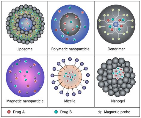 Schematic diagram representing the various types of nanoparticle use to ...