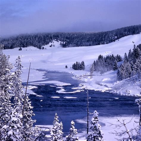 🔥 [40+] Winter in Yellowstone Wallpapers | WallpaperSafari