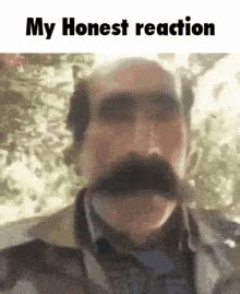 My Honest Reaction My Honest Reaction Meme GIF – My Honest Reaction My ...