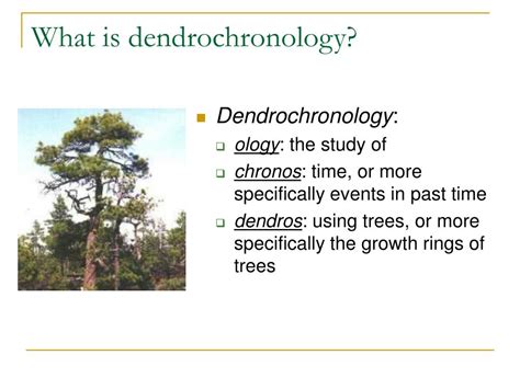 PPT - DENDROCHRONOLOGY PowerPoint Presentation, free download - ID:7097432