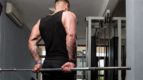 The 6 Best Forearm Barbell Exercises - The Fitness Phantom