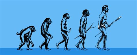 Human Evolution Timeline - MyBioSource Learning Center