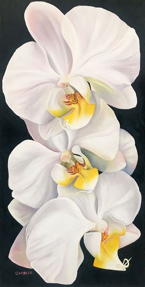 Three White Orchids (2018) Oil painting by Charlotte Ambler | Orchids painting, Flower painting ...