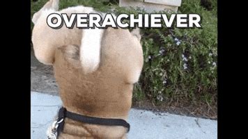 Overachiever GIFs - Find & Share on GIPHY