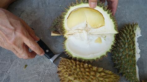 Why Does The Durian Fruit Smell So Bad?