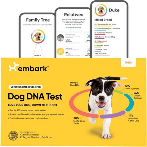 EMBARK Breed & Ancestry Dog DNA Test Kit - Chewy.com