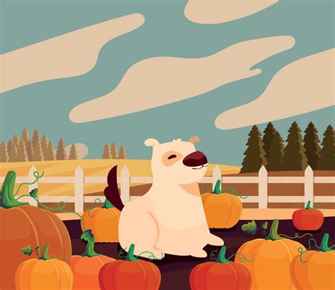 autumn pumpkins farm 10793736 Vector Art at Vecteezy