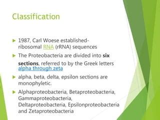 Proteobacteria | PPT