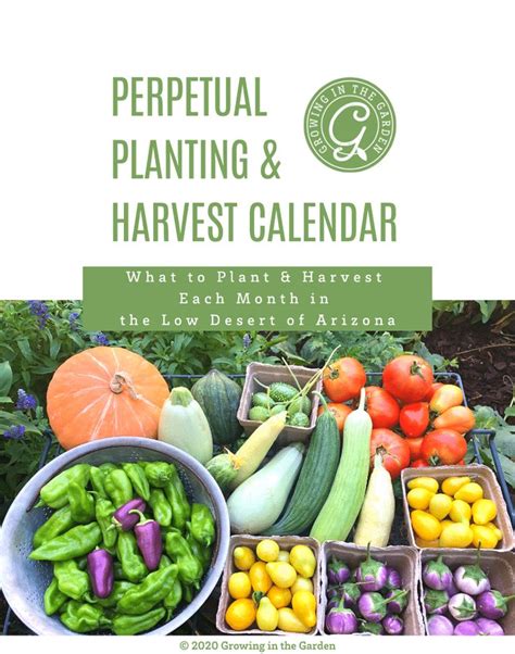 Arizona Vegetable Planting Calendar